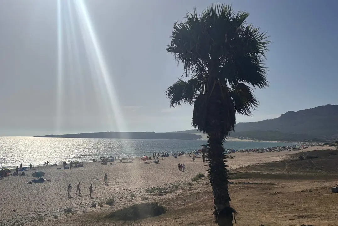 Playa de Bolonia 6