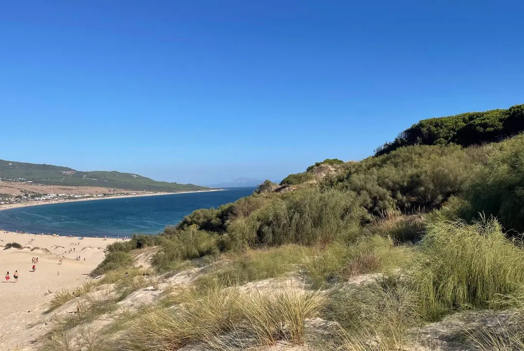 Playa de Bolonia 2