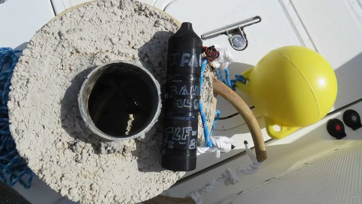 Dispositivo instalado en aguas del puerto algecireño que sirven de mucho a los expertos para conocer comportamientos de ciertas especies