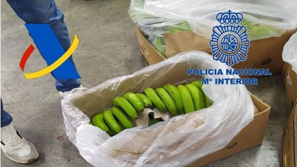 La droga viajó oculta desde Ecuadro entre plátanos. FOTO- Policia Nacional
