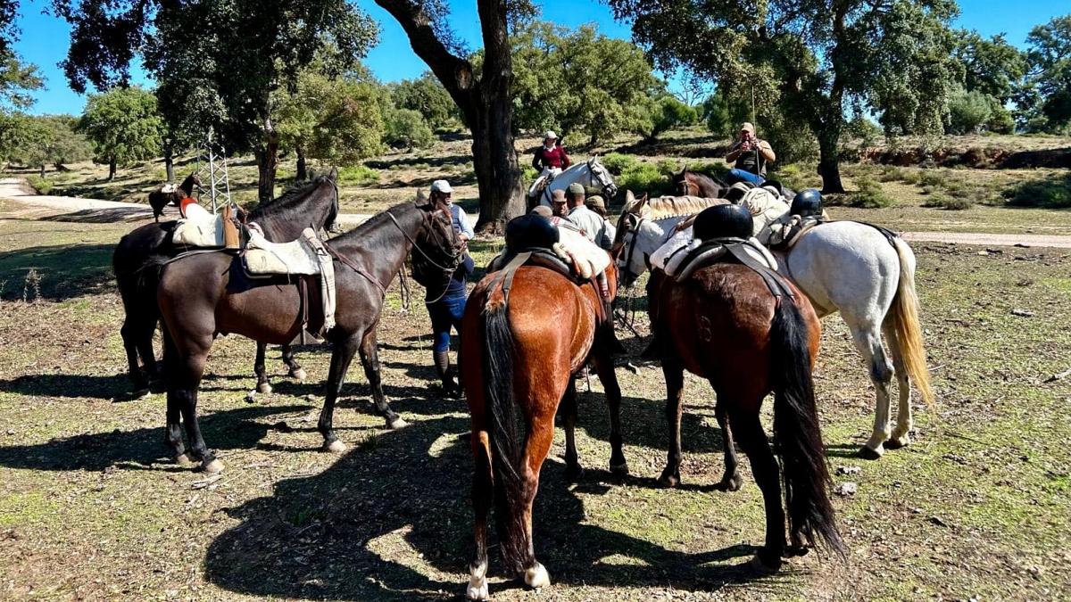 El caballo ha acaparado toda la atención en Castellar durante estos ultimos días