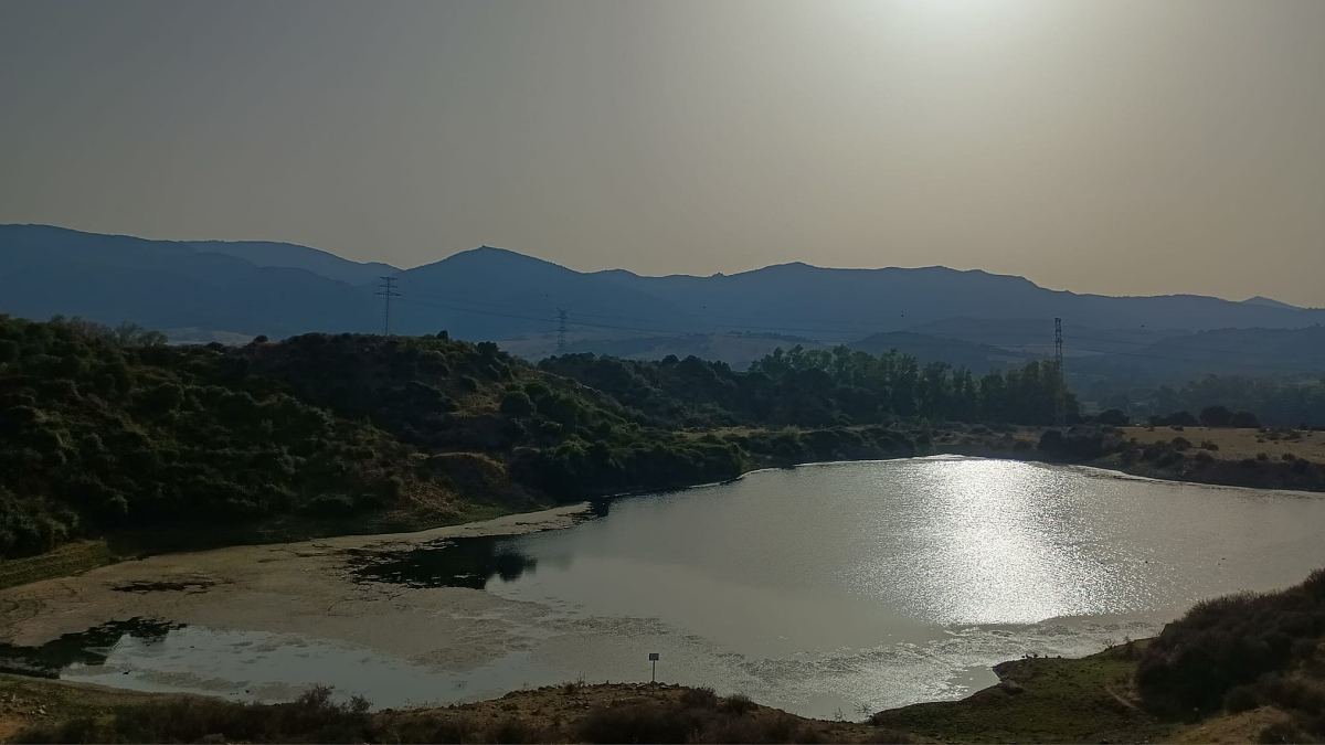 Laguna Huerta de Las Pilas, lugar de encuentro con la naturaleza en Algeciras. FOTO- Biodiversidad Laguna Huerta las Pilas y su entorno
