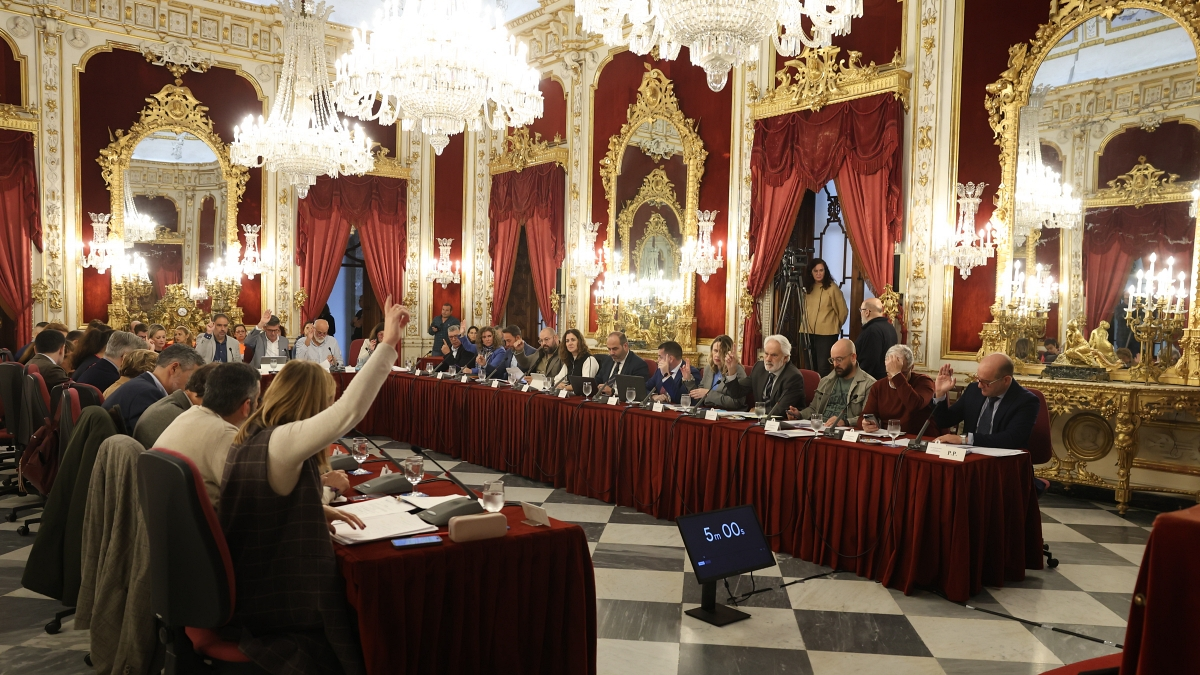 Manos arriba (o abajo) para votar una de las mociones en el pleno de Diputación de este miércoles