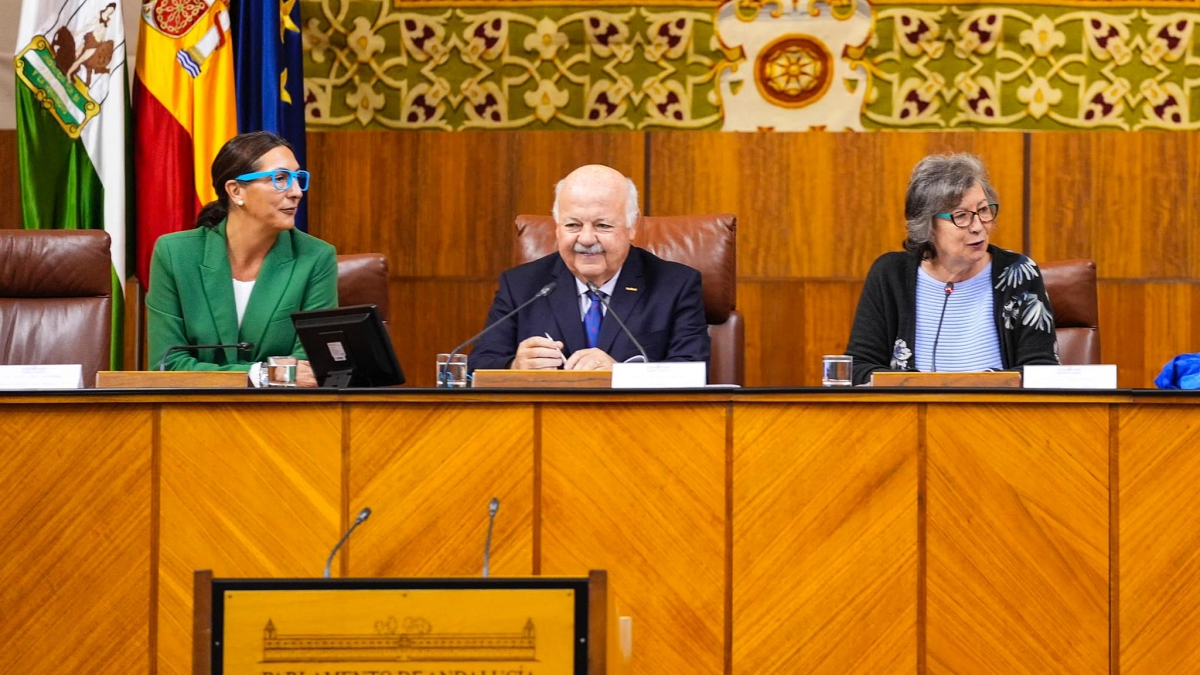 Alumnos de los centros participantes en el pleno infantil, entre ellos 12 de Algeciras.FOTO: Parlamento de Andaluc&iacute;a.