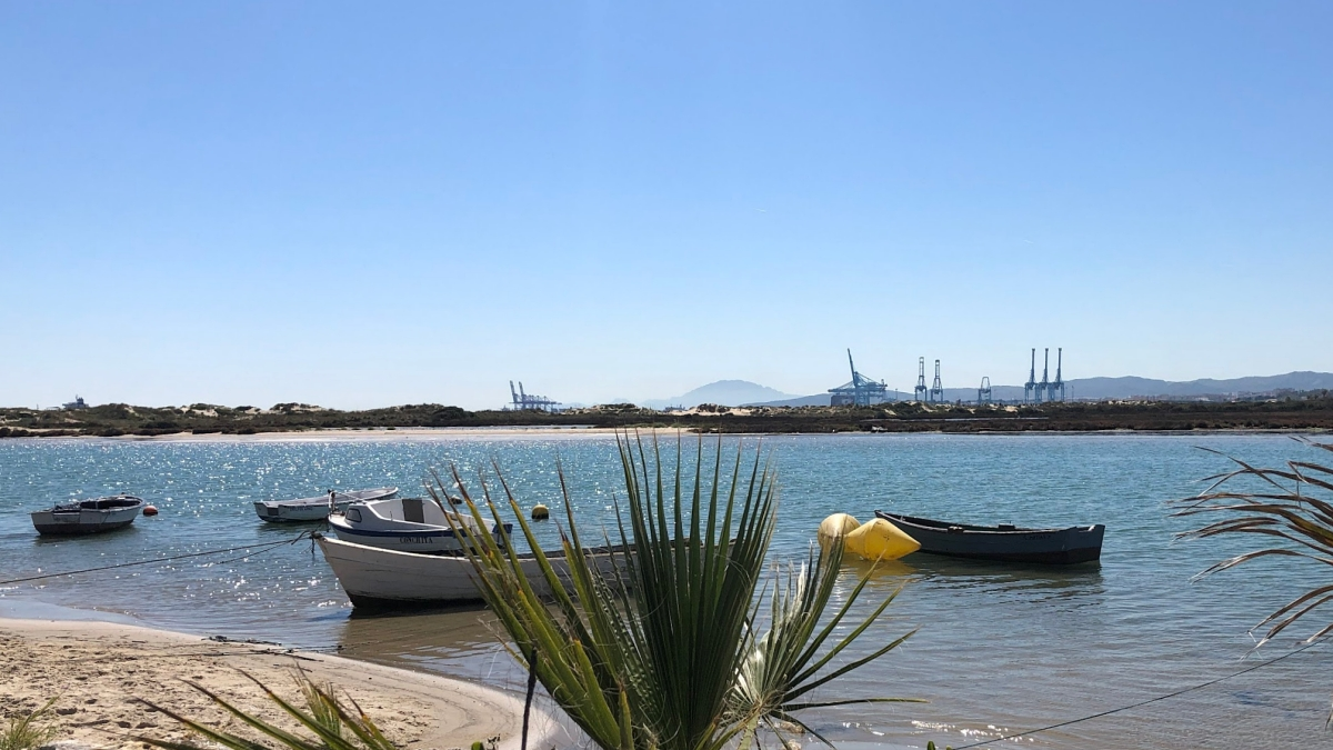 La playa palmoneña volverá a lucir el distintivo de calidad Q durante el verano de 2025