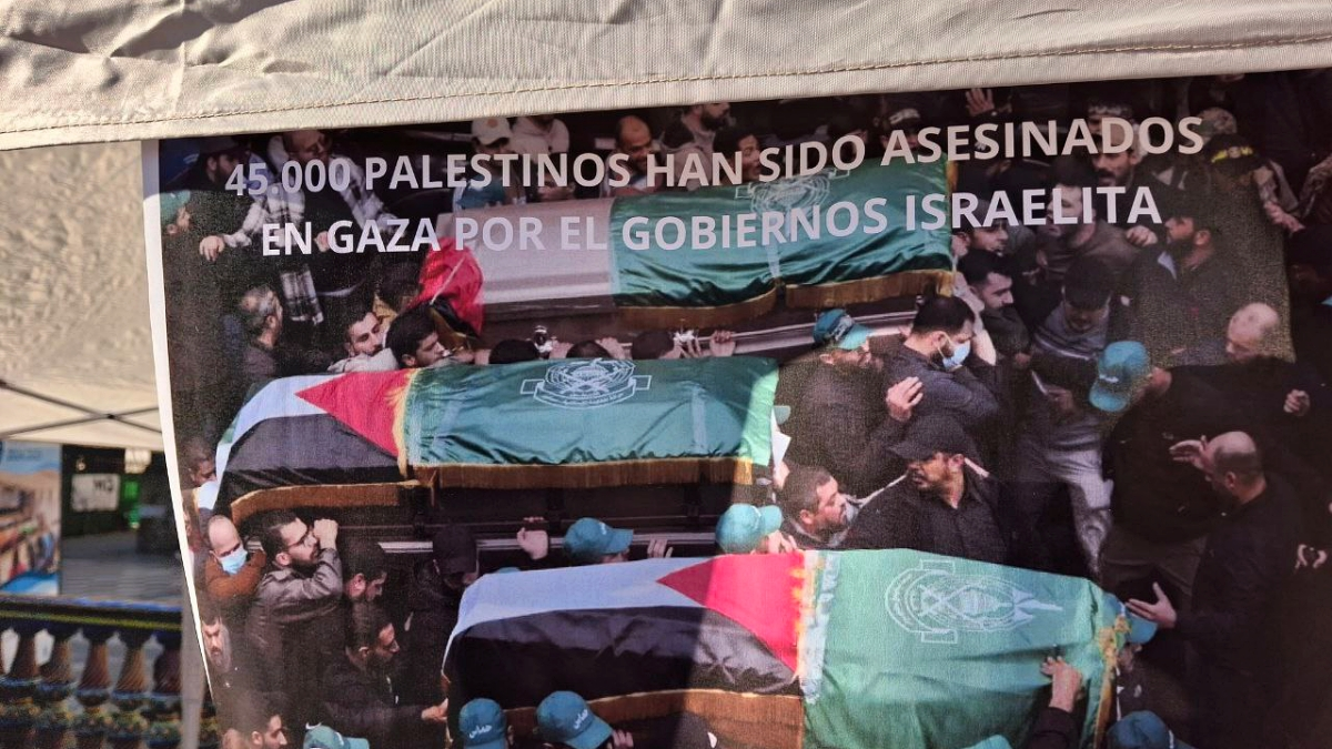 Palestina, presente en la celebración del Día de los Derechos Humanos 4
