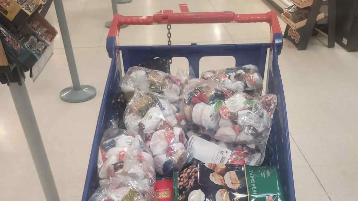 Recogida y reparto alimentos de Coordnadora Solidaria 1