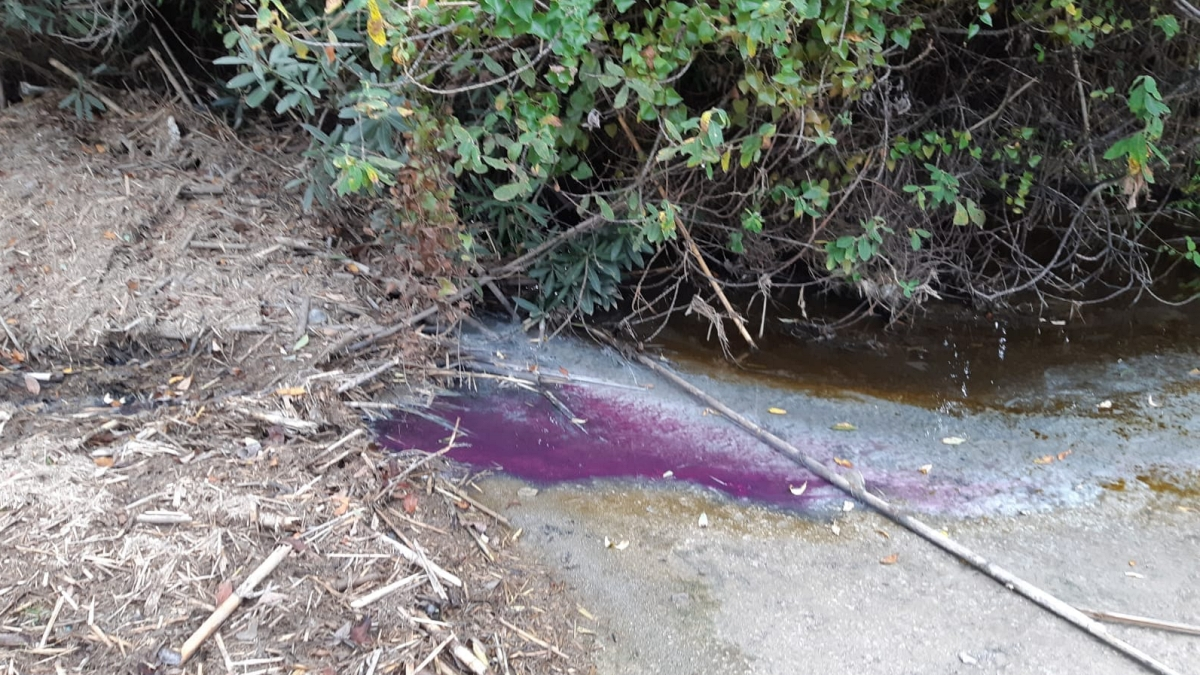 Aguas del río Pícaro, en Algeciras. FOTO - Verdemar