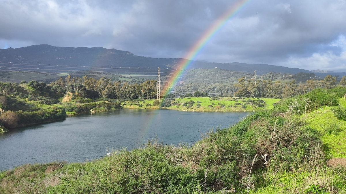 La laguna Huerta de Las Pilas, en Algeciras. FOTO- Biodiversidad Laguna Huerta Las Pilas
