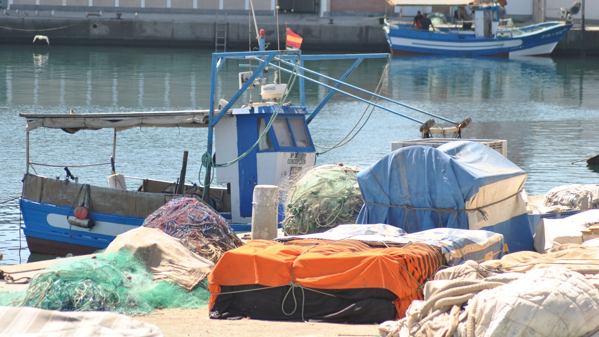 Barcos de pesca en el puerto linense de La Atunara