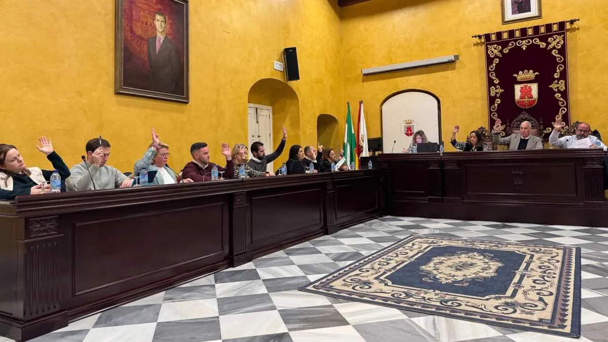 Manos alzadas durante la sesión plenaria de este jueves