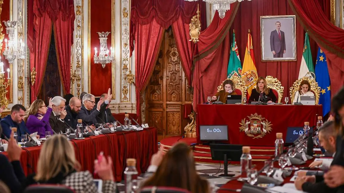 Sesión plenaria de Diputación en la que se han dado luz verde a estas dos mociones