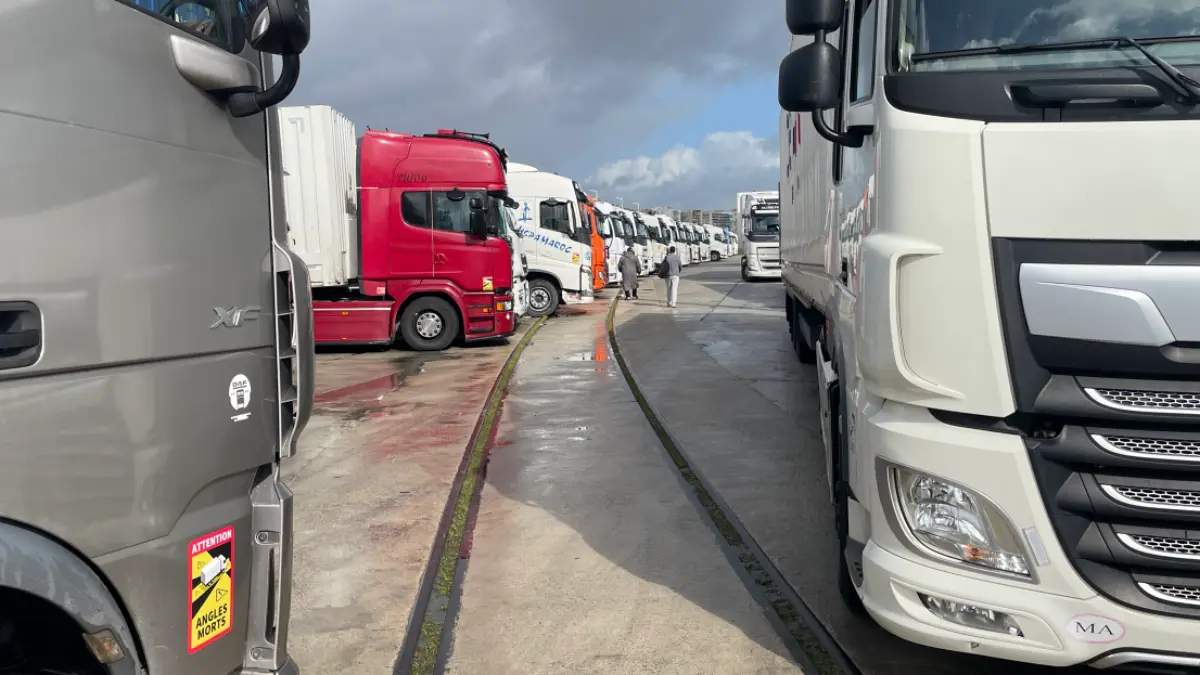 Colapso de camiones en el puerto de Algeciras 17
