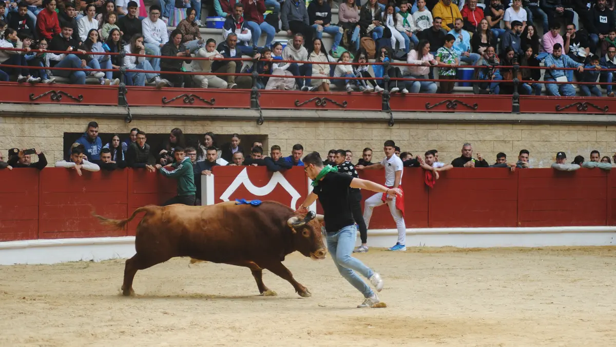 Toro Embolao domingo 11