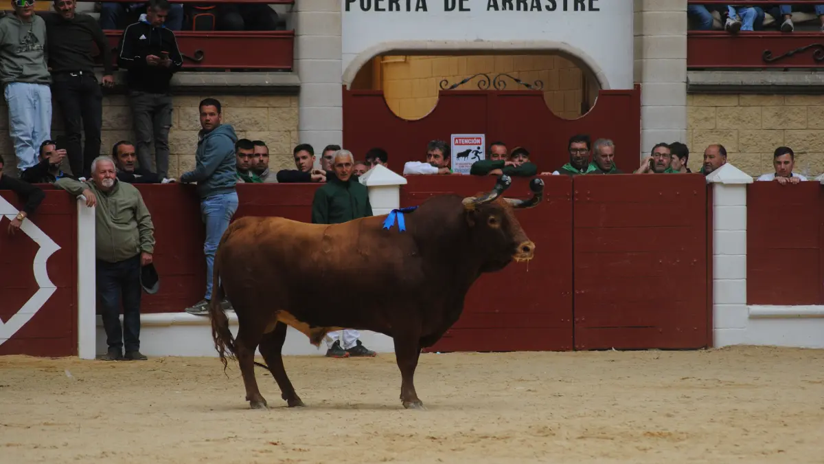 Toro Embolao domingo 17