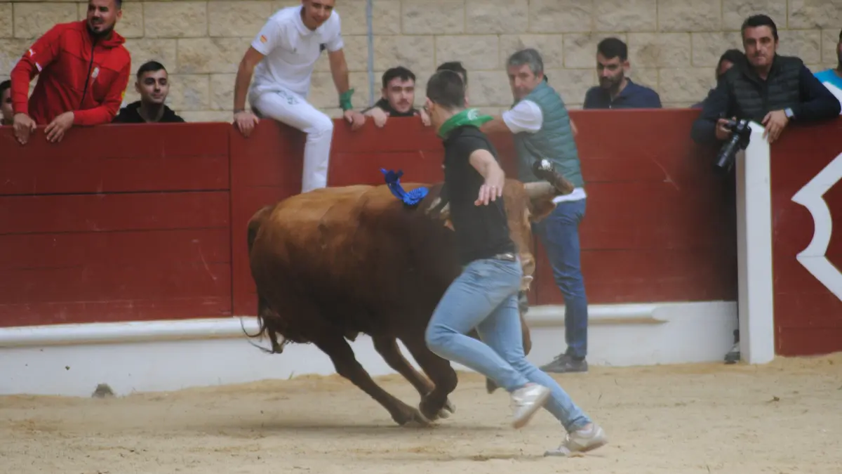 Toro Embolao domingo 23