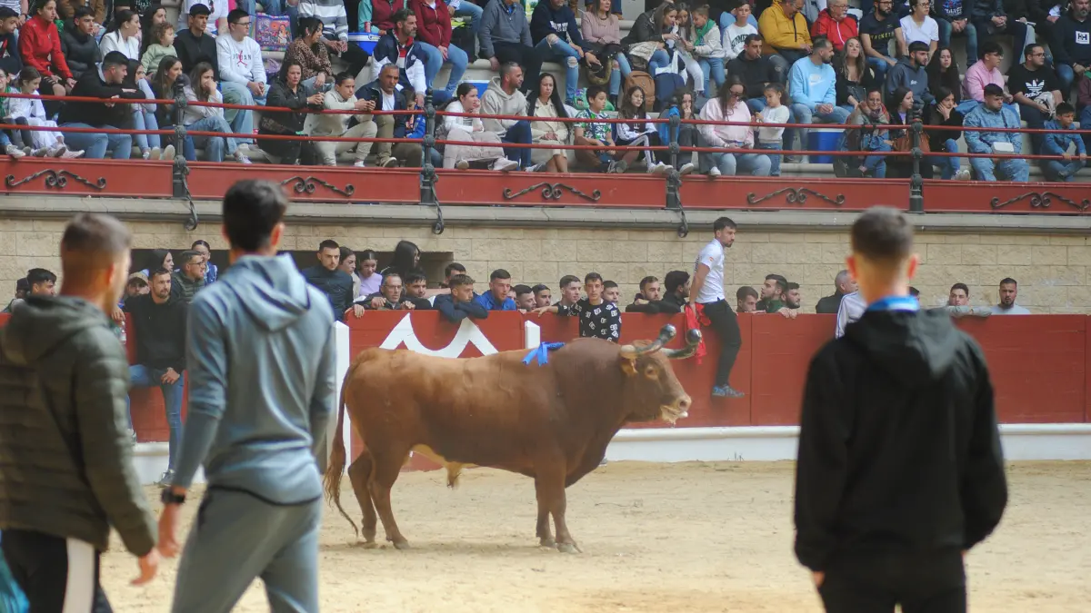 Toro Embolao domingo 28
