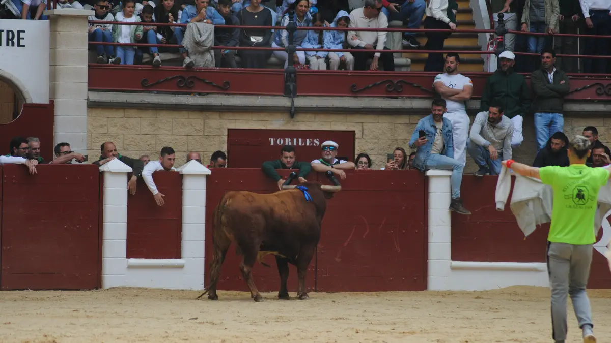 Toro Embolao domingo 30