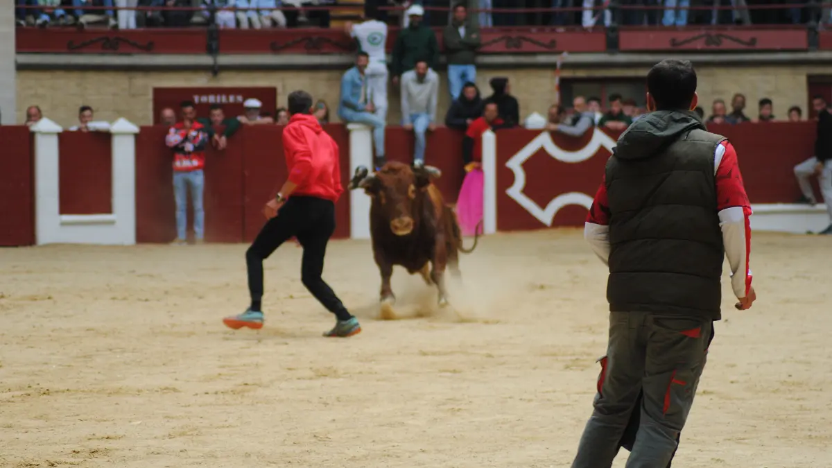 Toro Embolao domingo 33