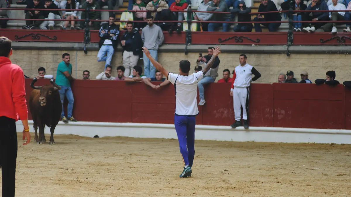 Toro Embolao domingo 35