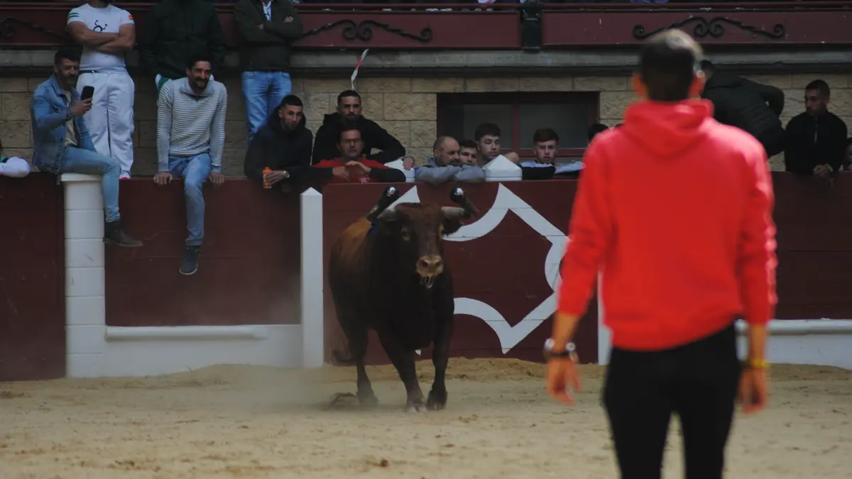 Toro Embolao domingo 36