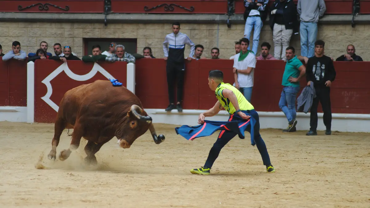 Toro Embolao domingo 38