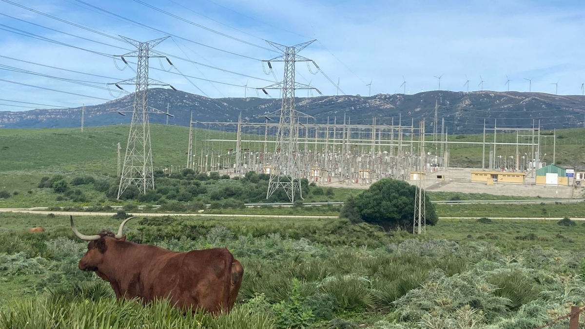 Los ecoligistas, contrarios a estos megaproyectos