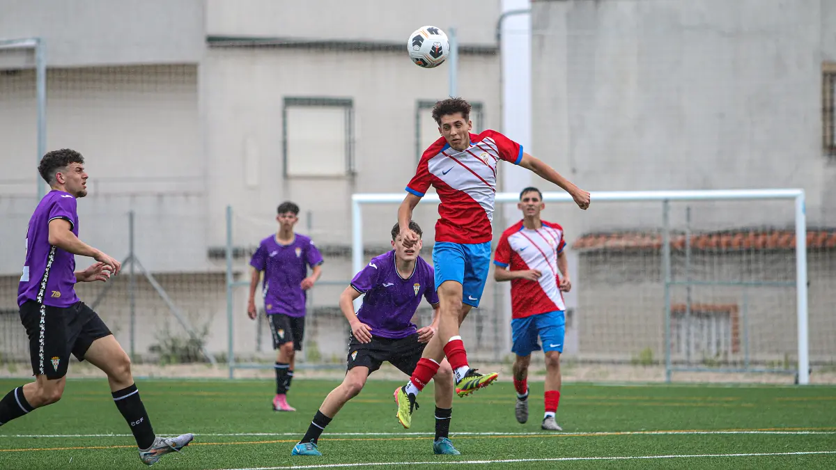Algeciras - Córdoba 8