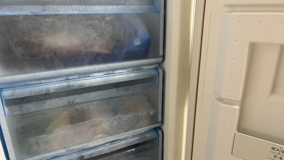 Alimentos congelados que han podido verse deteriorados por el apagón
