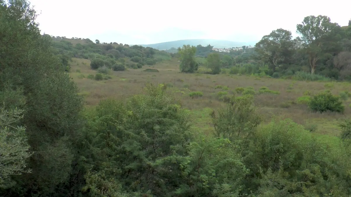 Terrenos sobre los que se proyecta el nuevo espacio ferial
