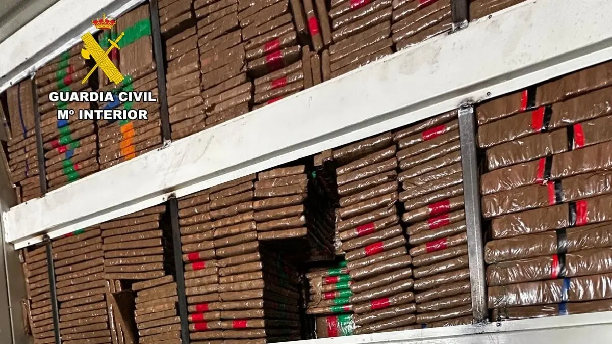 Estructura del camión donde viaja oculta la droga