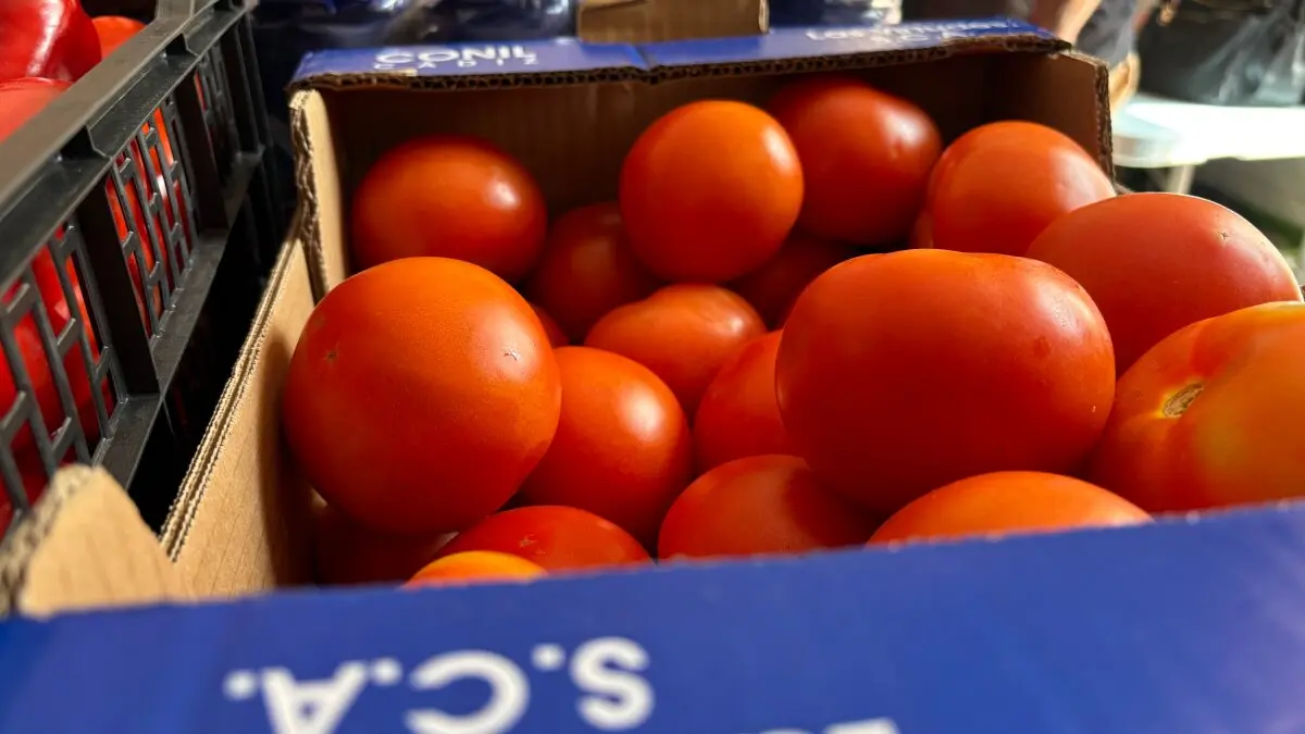 Algecireños Solidarios ya disponen de nueva cocina10