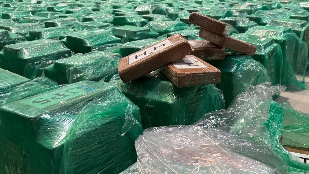 Imagen de archivo de droga incautada en el puerto de Algeciras