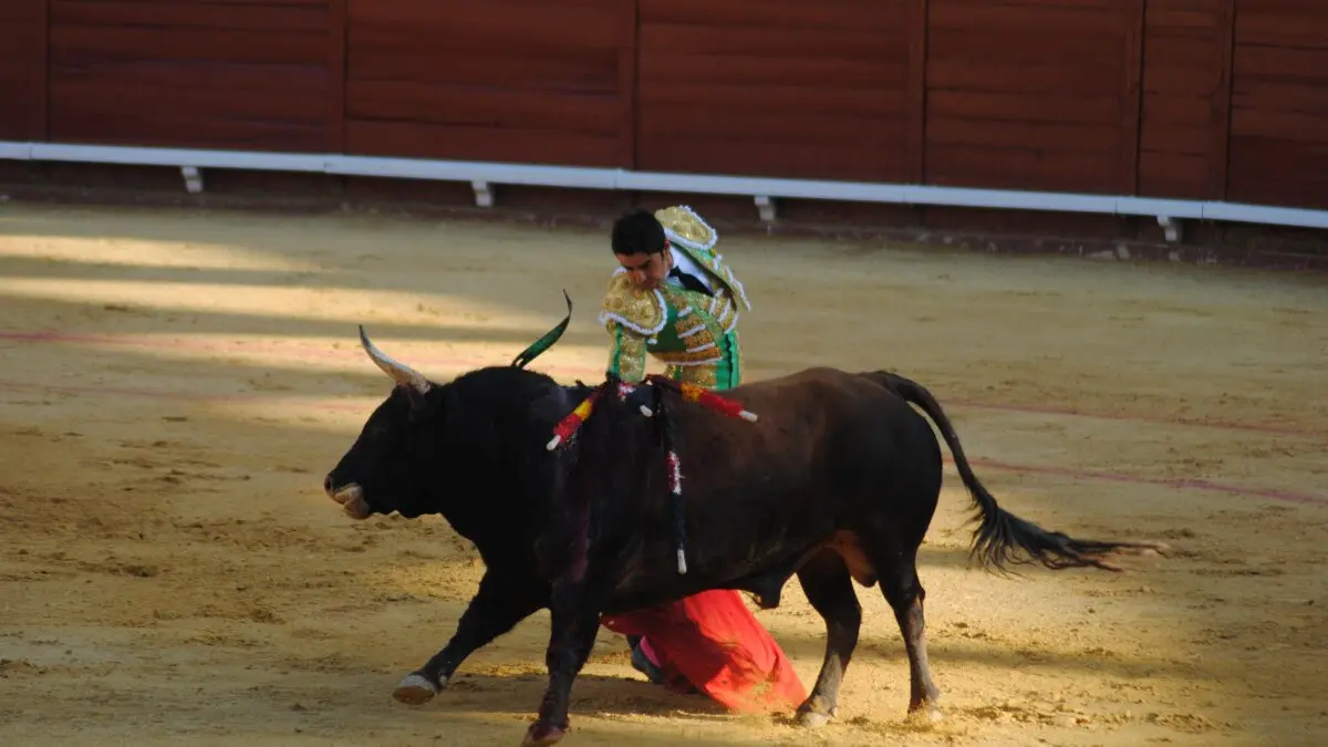 Perera, Luque y Galván, en la corrida del 26 de junio en Algeciras 11