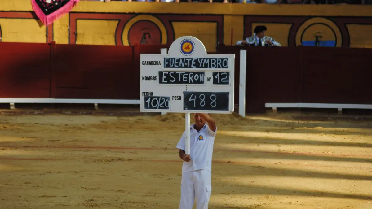 Perera, Luque y Galván, en la corrida del 26 de junio en Algeciras 16
