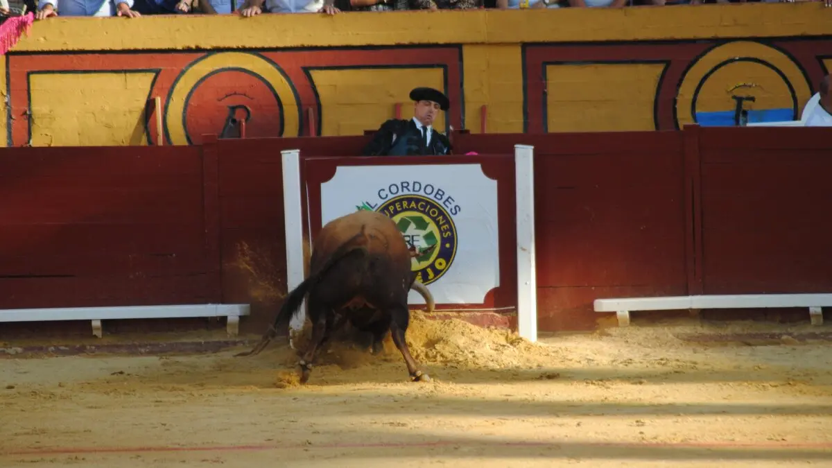 Perera, Luque y Galván, en la corrida del 26 de junio en Algeciras 17