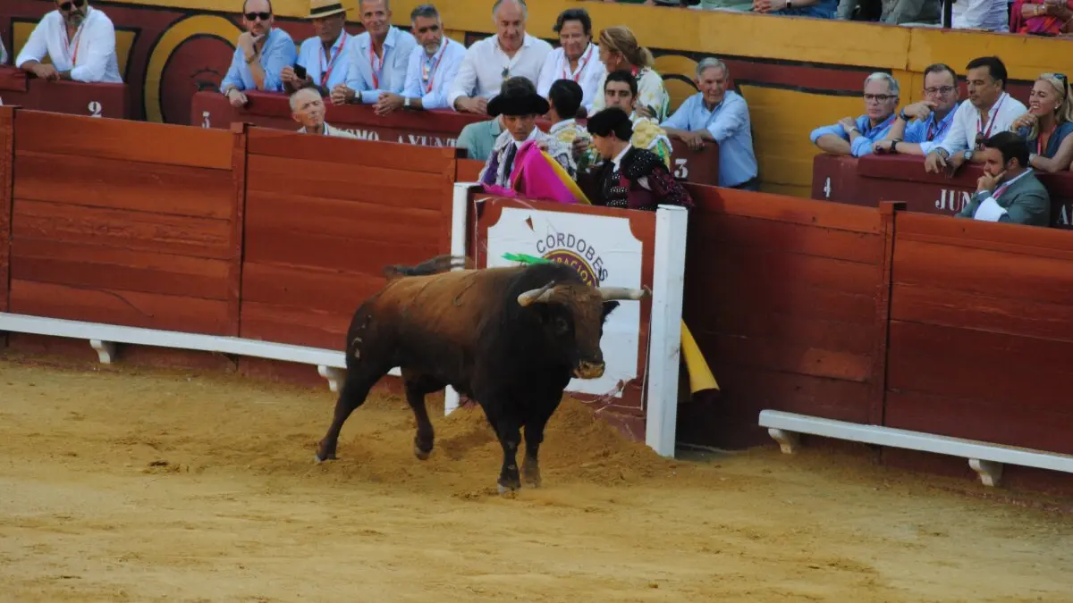 Perera, Luque y Galván, en la corrida del 26 de junio en Algeciras 18