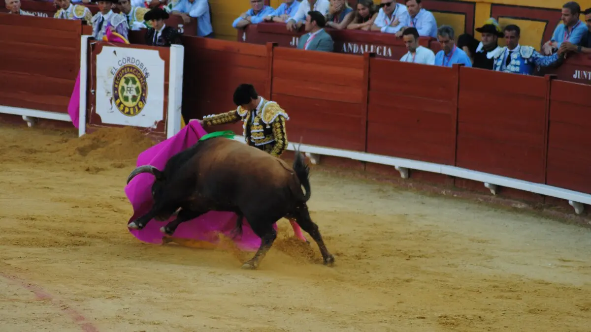 Perera, Luque y Galván, en la corrida del 26 de junio en Algeciras 19