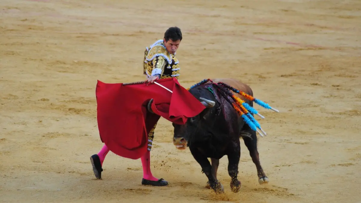 Perera, Luque y Galván, en la corrida del 26 de junio en Algeciras 22