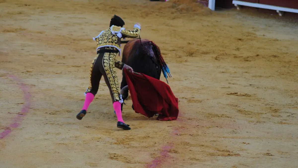 Perera, Luque y Galván, en la corrida del 26 de junio en Algeciras 24