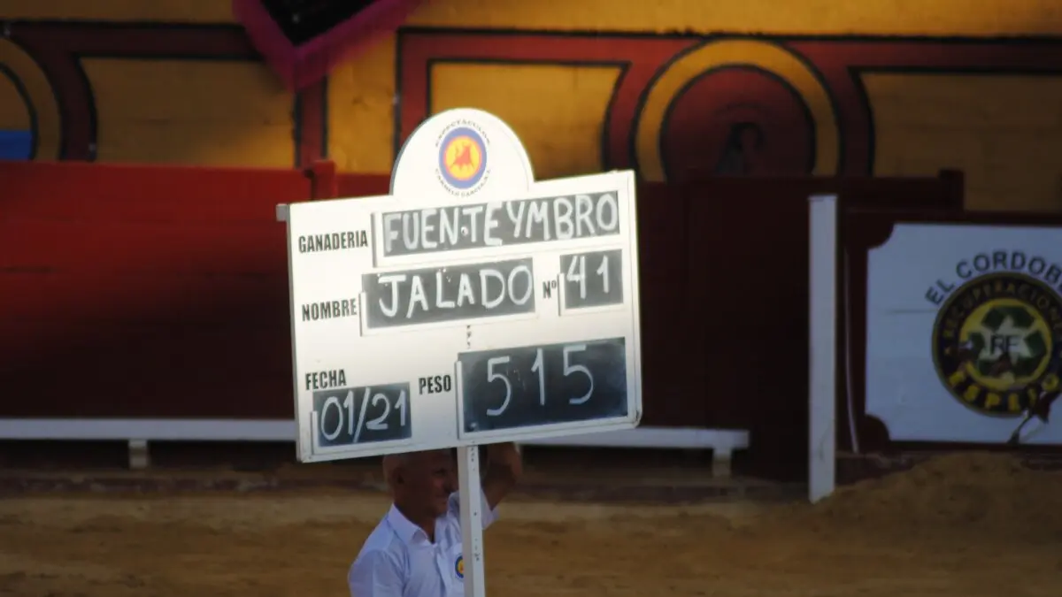 Perera, Luque y Galván, en la corrida del 26 de junio en Algeciras 25