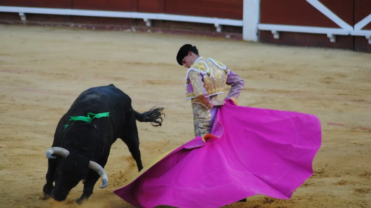 Perera, Luque y Galván, en la corrida del 26 de junio en Algeciras 26
