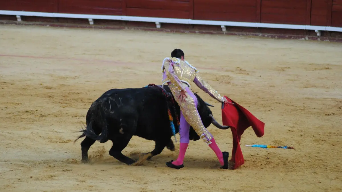 Perera, Luque y Galván, en la corrida del 26 de junio en Algeciras 29