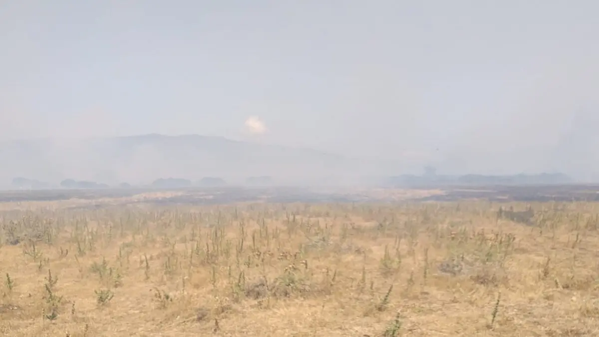 Zona afectada por el incendio. FOTO - Infoca