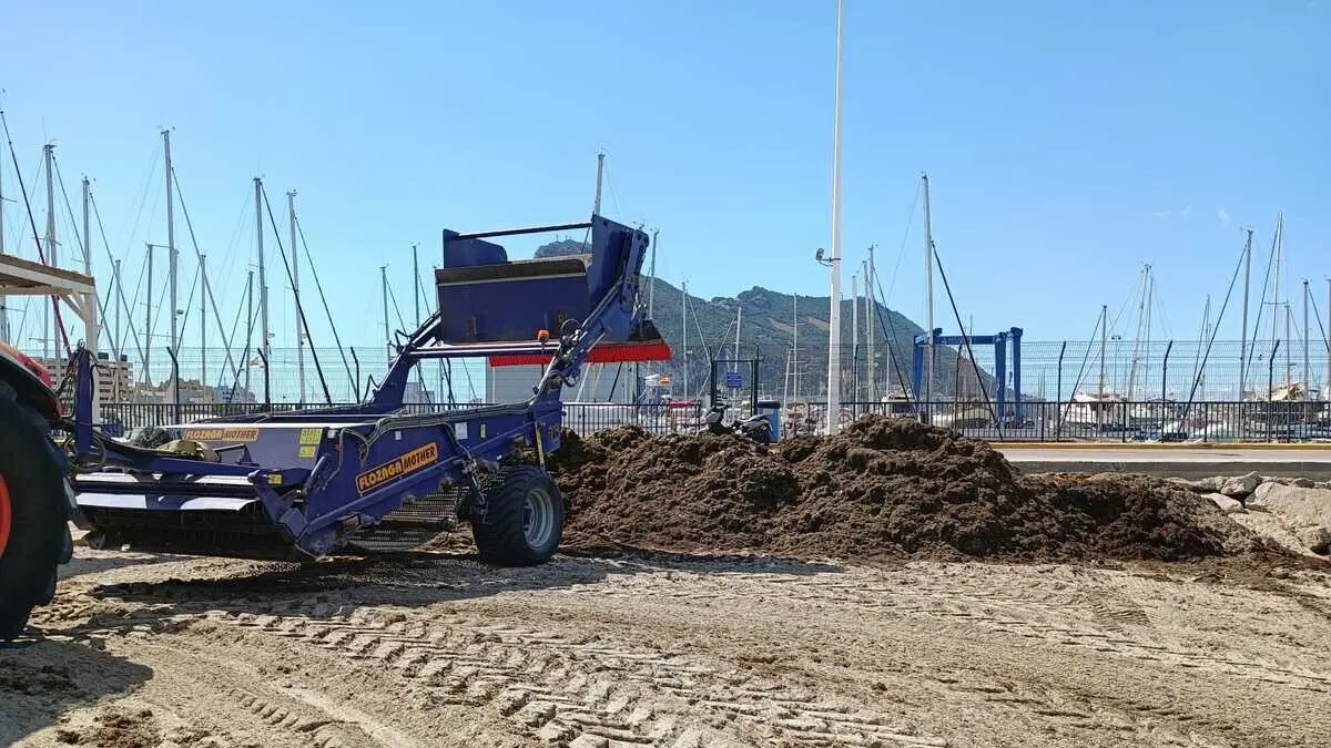 Limpieza de algas en las playas de La L&iacute;nea