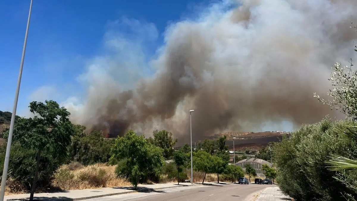 Las llamas se han propagado por el fuerte viento reinante. FOTO - Adrián Pelayo
