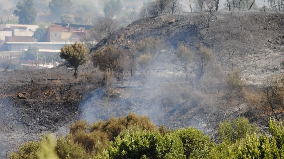 Incendio en Botafuegos 10