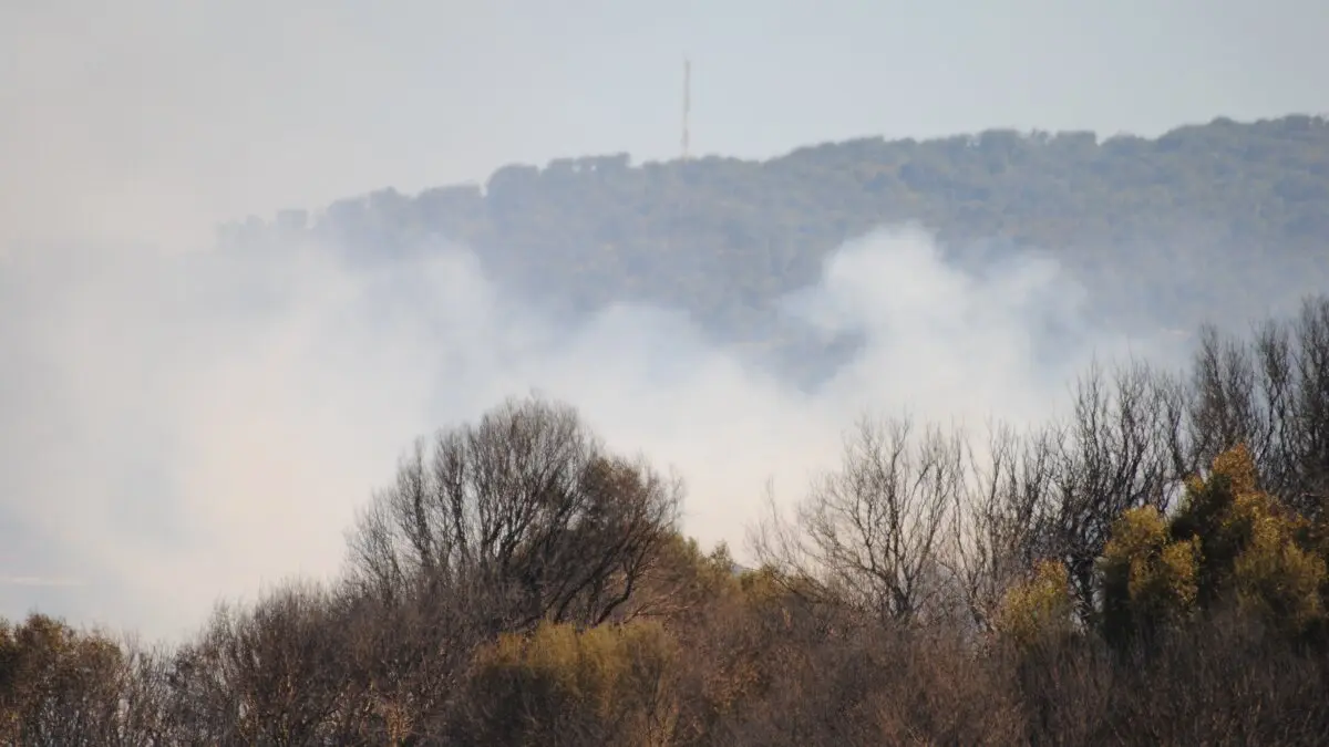 Incendio en Botafuegos 12