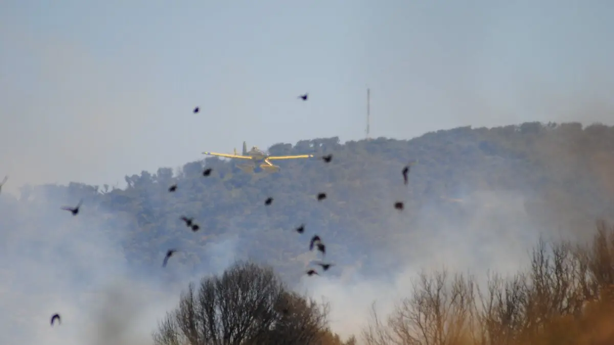 Incendio en Botafuegos 19