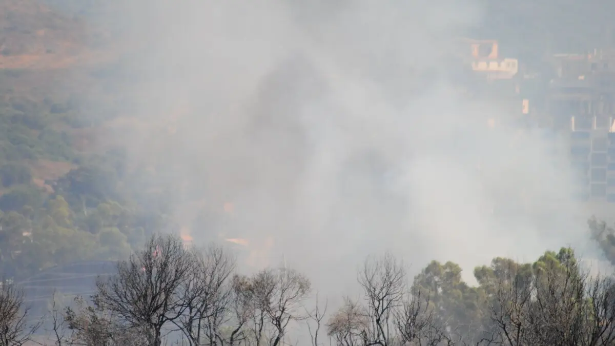 Incendio en Botafuegos 20